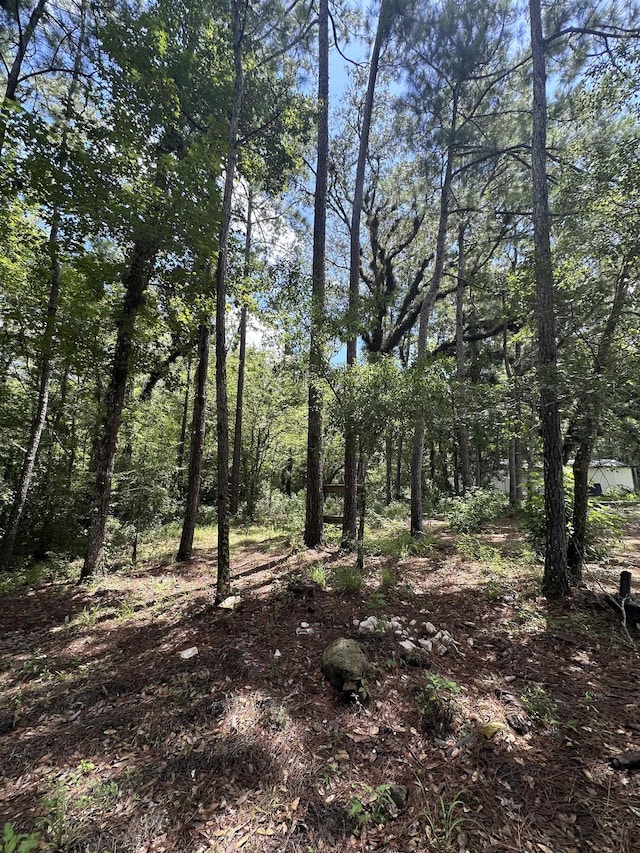 2912 Tuscarora Trl, Middleburg, FL 32068 - photo 47