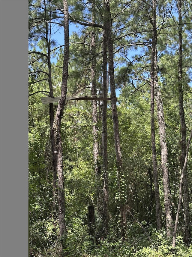 2912 Tuscarora Trl, Middleburg, FL 32068 - photo 50