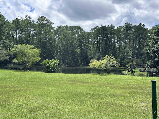2912 Tuscarora Trl, Middleburg, FL 32068 - photo 46