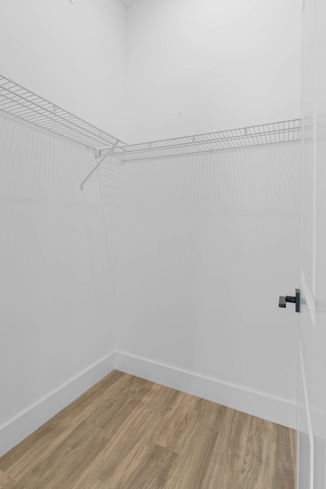 441 S Woodlawn St, Saint Augustine, FL 32084 - walk in closet featuring light wood-style floors