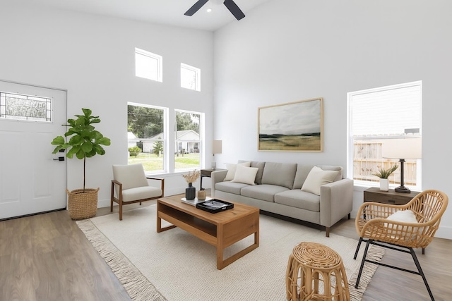 441 S Woodlawn St, Saint Augustine, FL 32084 - living area with light wood-type flooring, healthy amount of natural light, high vaulted ceiling, and ceiling fan