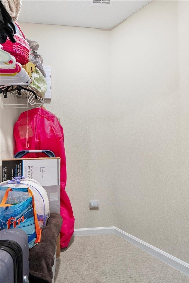 34 Anguilla Blvd, Saint Augustine, FL 32092 - spacious closet with carpet