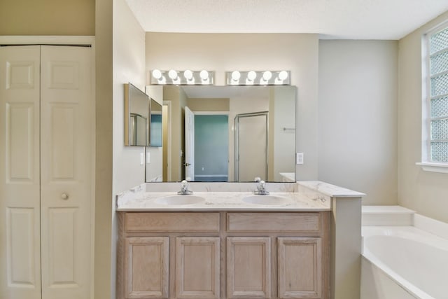 bathroom with a closet, a healthy amount of sunlight, and a sink