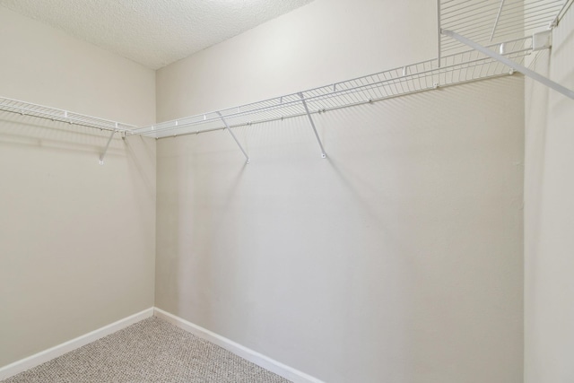 spacious closet with light carpet