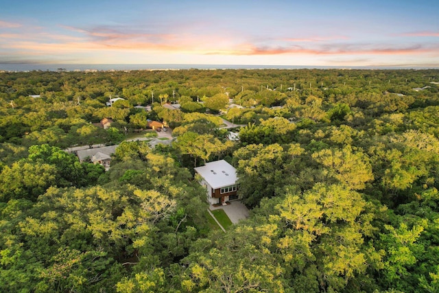 2470 Oleander St, Saint Augustine, FL 32080 - bird's eye view of a heavily wooded area