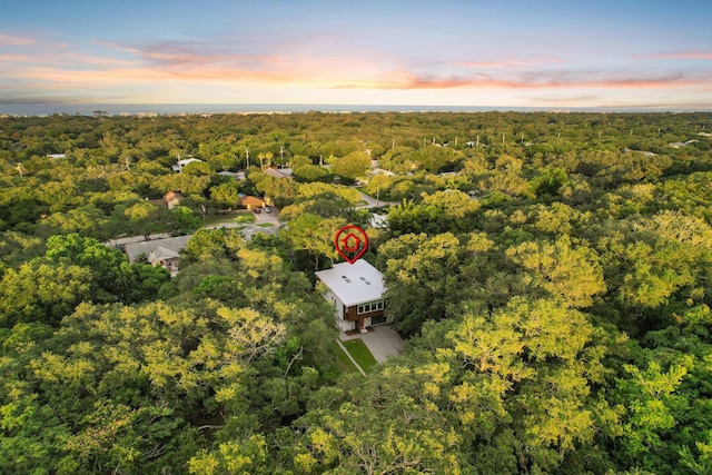2470 Oleander St, Saint Augustine, FL 32080 - aerial view at dusk of a wooded view