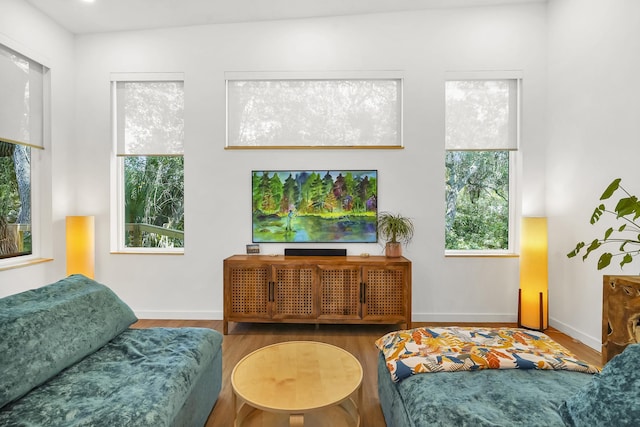 2470 Oleander St, Saint Augustine, FL 32080 - living room with wood finished floors and baseboards