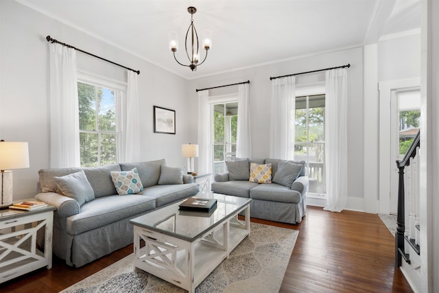 living room with ornamental molding, dark hardwood / wood-style flooring, a healthy amount of sunlight, and a notable chandelier