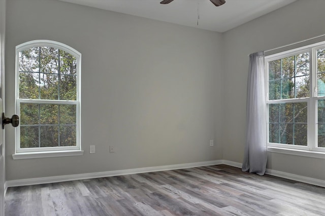 spare room featuring plenty of natural light, ceiling fan, and light wood-type flooring