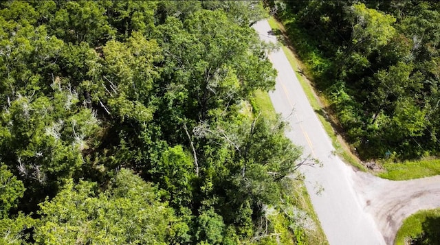 10555 Turpin Ave, Hastings, FL 32145 - photo 14