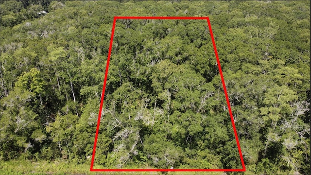 10555 Turpin Ave, Hastings, FL 32145 - photo 1
