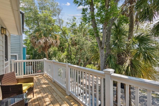 133 Pomar St, Saint Augustine, FL 32084 - view of deck
