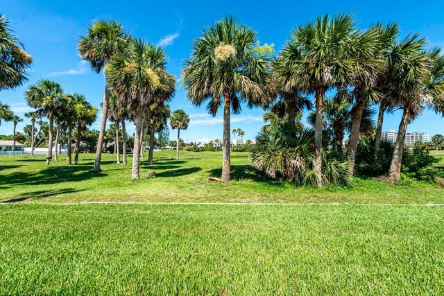 227 Ocean Palm Dr, Flagler Beach, FL 32136 - photo 12