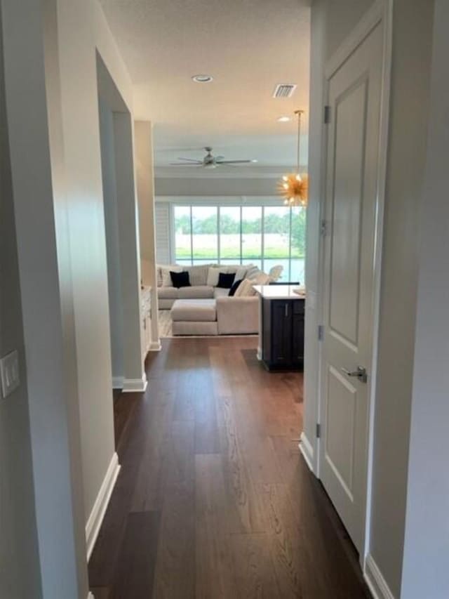 hallway with baseboards, visible vents, dark wood finished floors, and recessed lighting