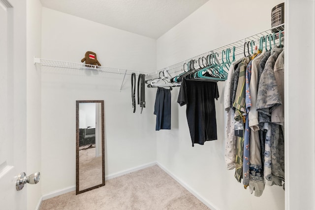 spacious closet with carpet floors