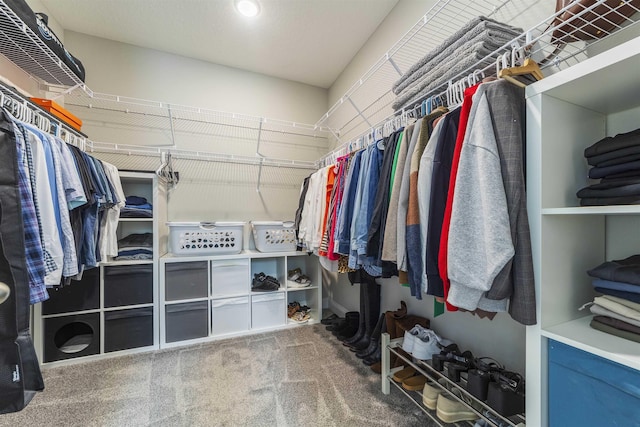 spacious closet featuring carpet flooring