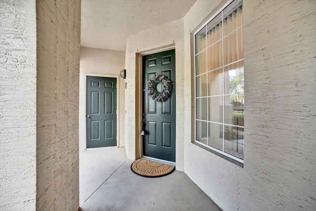 804 Pine Valley Pl, Saint Augustine, FL 32086 - photo 37