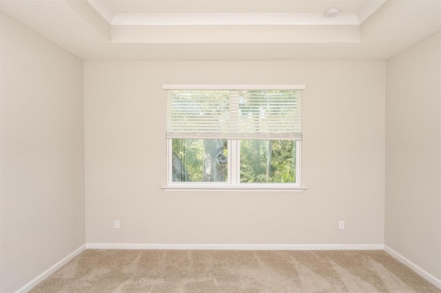 carpeted empty room featuring a tray ceiling