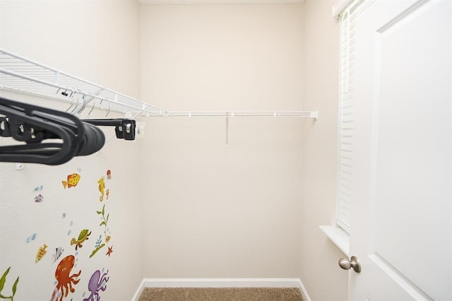 walk in closet featuring carpet flooring