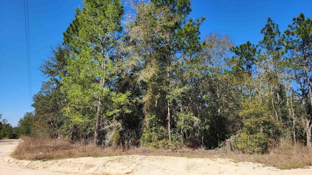 Oak Crest Dr, Interlachen FL, 32148 land for sale