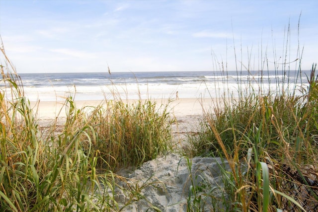 water view with a view of the beach