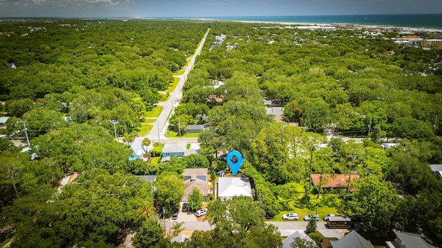 408 B St, Saint Augustine, FL 32080 - bird's eye view of a heavily wooded area