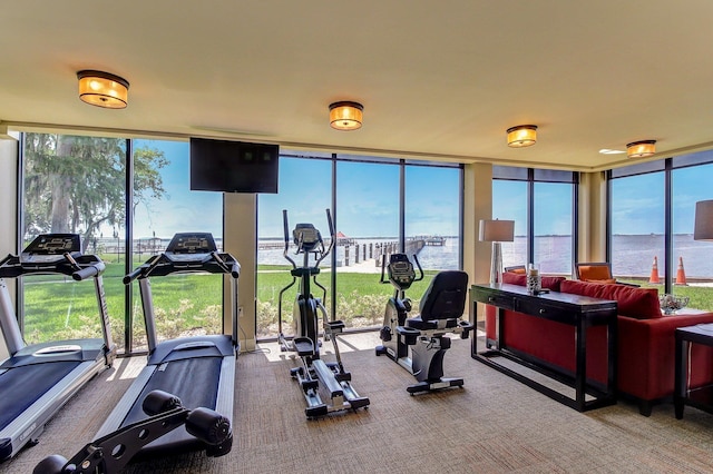 workout area with expansive windows