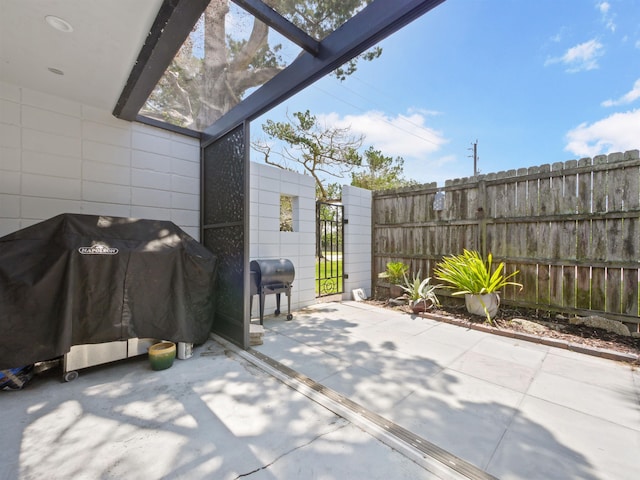 view of patio with grilling area