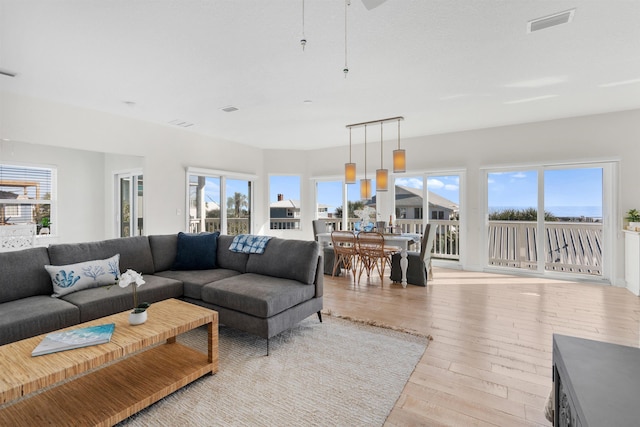 living room featuring light hardwood / wood-style flooring and a wealth of natural light