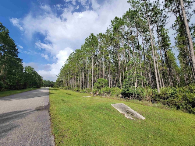 102 Creekside Dr, Bunnell, FL 32110 - photo 4