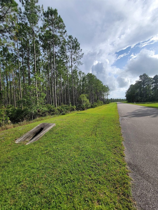 102 Creekside Dr, Bunnell, FL 32110 - photo 6