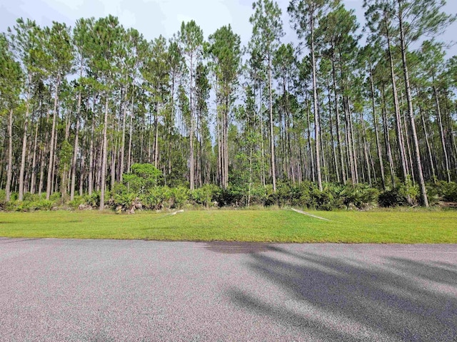 102 Creekside Dr, Bunnell, FL 32110 - photo 5