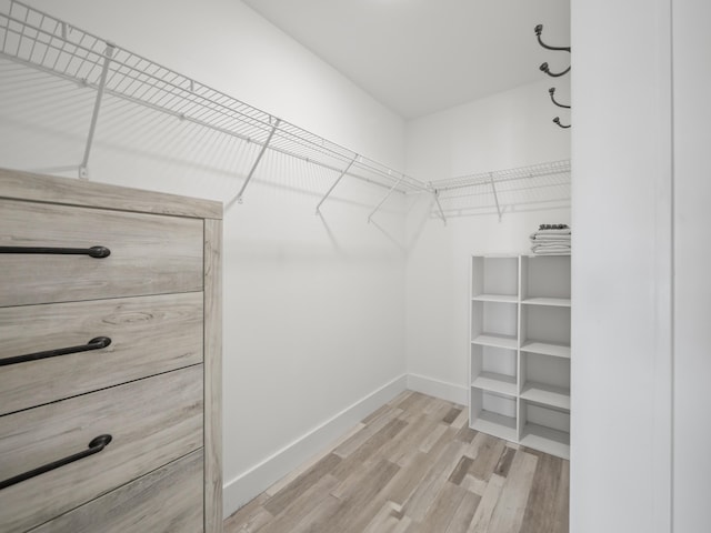 spacious closet featuring hardwood / wood-style flooring