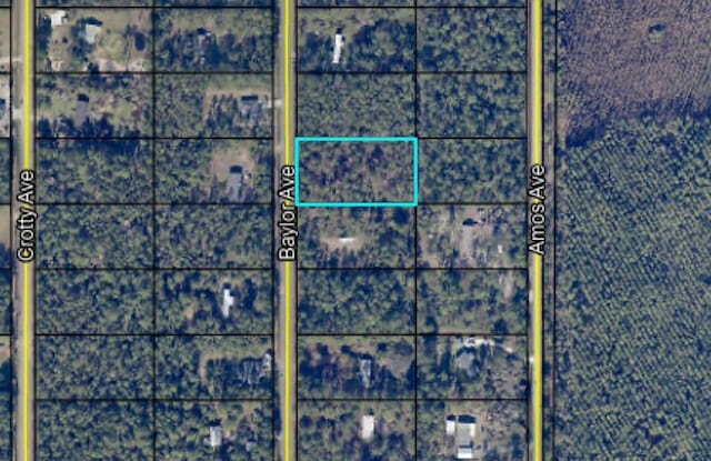 9910 Baylor Ave, Hastings, FL 32145
