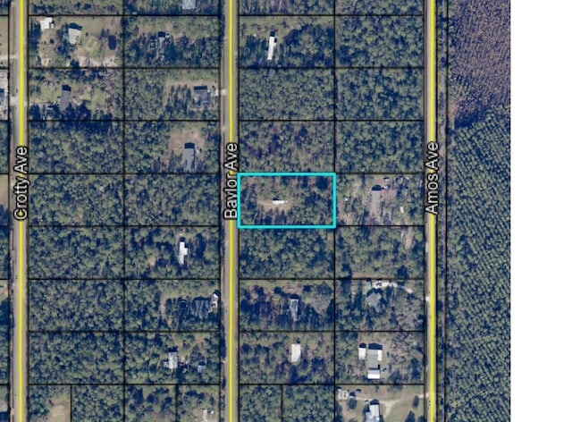 9910 Baylor Ave, Hastings, FL 32145