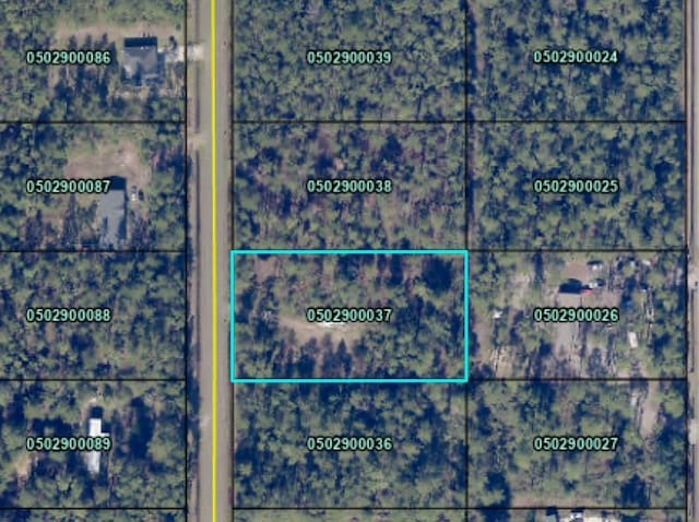 9910 Baylor Ave, Hastings, FL 32145