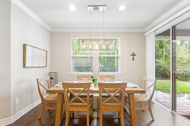 dining space with a textured ceiling, dark wood-type flooring, and crown molding