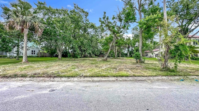 0 Minorca Ave, Unassigned Vacant Lot Saint Augustine, FL 32080 - photo 14