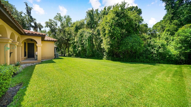 84 Villa Sovana Ct, Saint Johns, FL 32259 - view of grassy yard