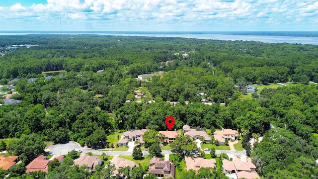 84 Villa Sovana Ct, Saint Johns, FL 32259 - aerial view of residential area with a heavily wooded area and a nearby body of water