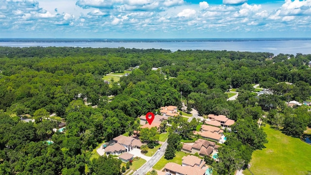 84 Villa Sovana Ct, Saint Johns, FL 32259 - aerial perspective of suburban area with a forest and a large body of water