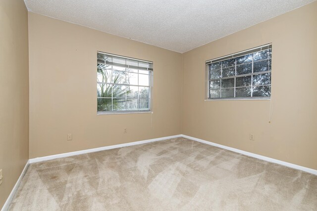 unfurnished room featuring a textured ceiling and carpet floors