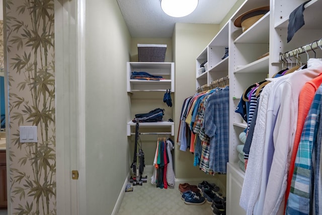 view of spacious closet