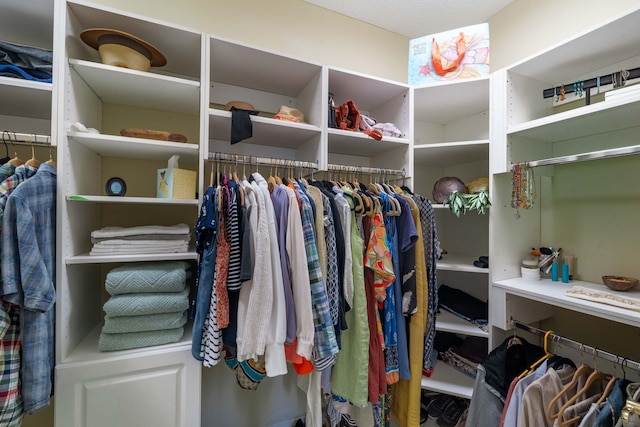 view of spacious closet