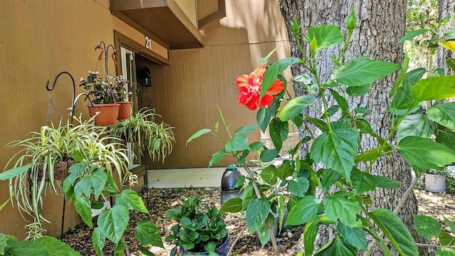 21 Mid Pines Cir Unit 21, Palm Coast, FL 32137 - exterior view