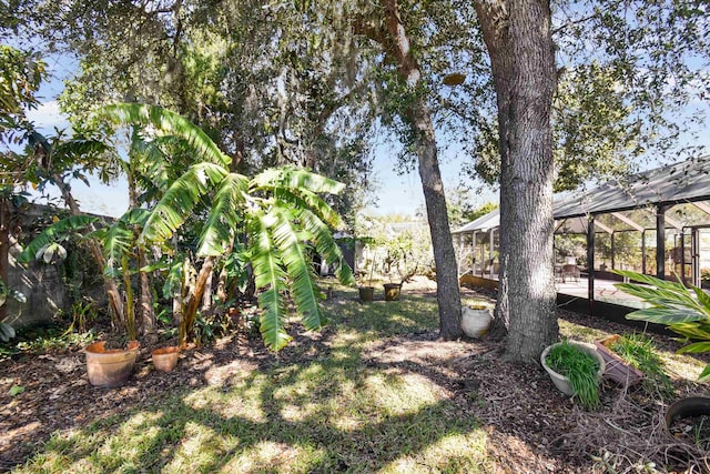 view of yard featuring a lanai