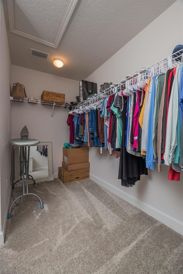 walk in closet with attic access, carpet, and visible vents