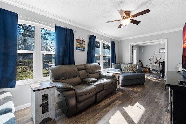 living room with ceiling fan, dark hardwood / wood-style flooring, crown molding, and a textured ceiling