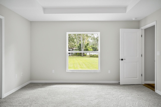 spare room featuring carpet floors and a raised ceiling