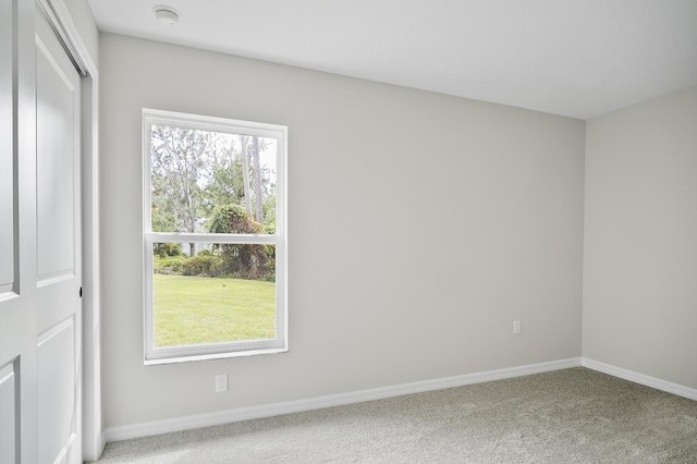 empty room with carpet flooring and a healthy amount of sunlight